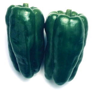 ピーマン 新緑ピーマン - 宝 種苗株式会社